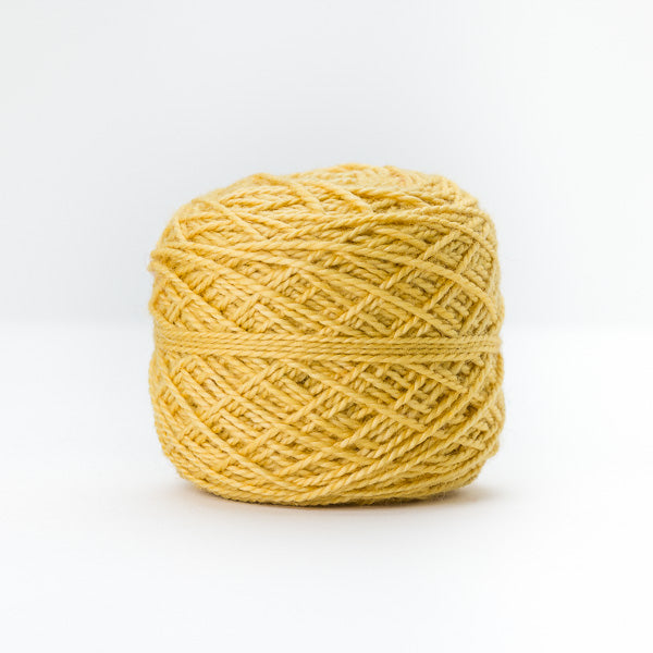 FirstMoon - Flowering Acacia