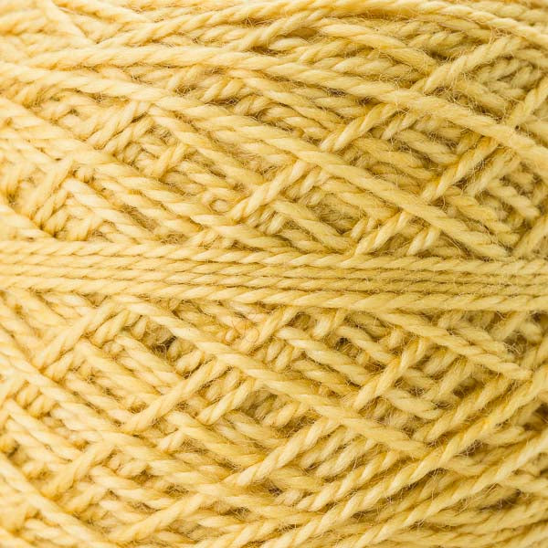 FirstMoon - Flowering Acacia