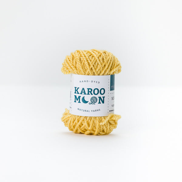 MiniMoon - Flowering Acacia