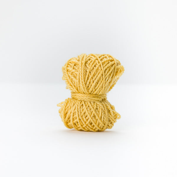 MiniMoon - Flowering Acacia