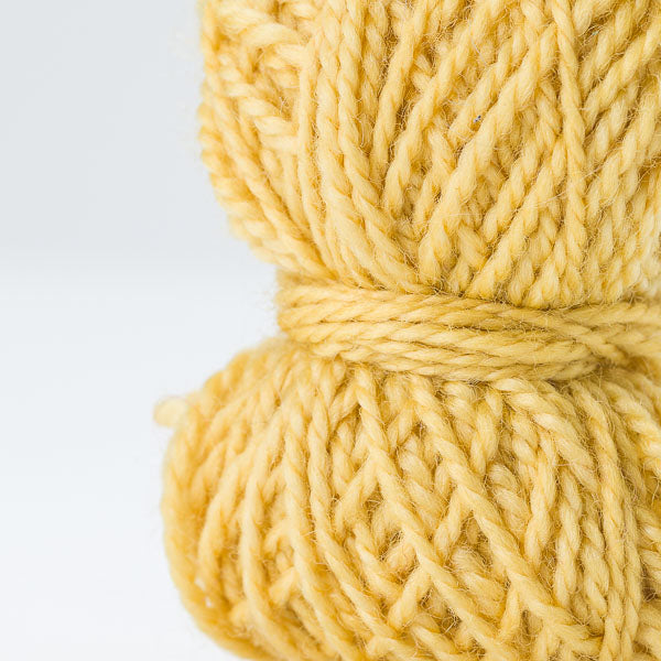 MiniMoon - Flowering Acacia