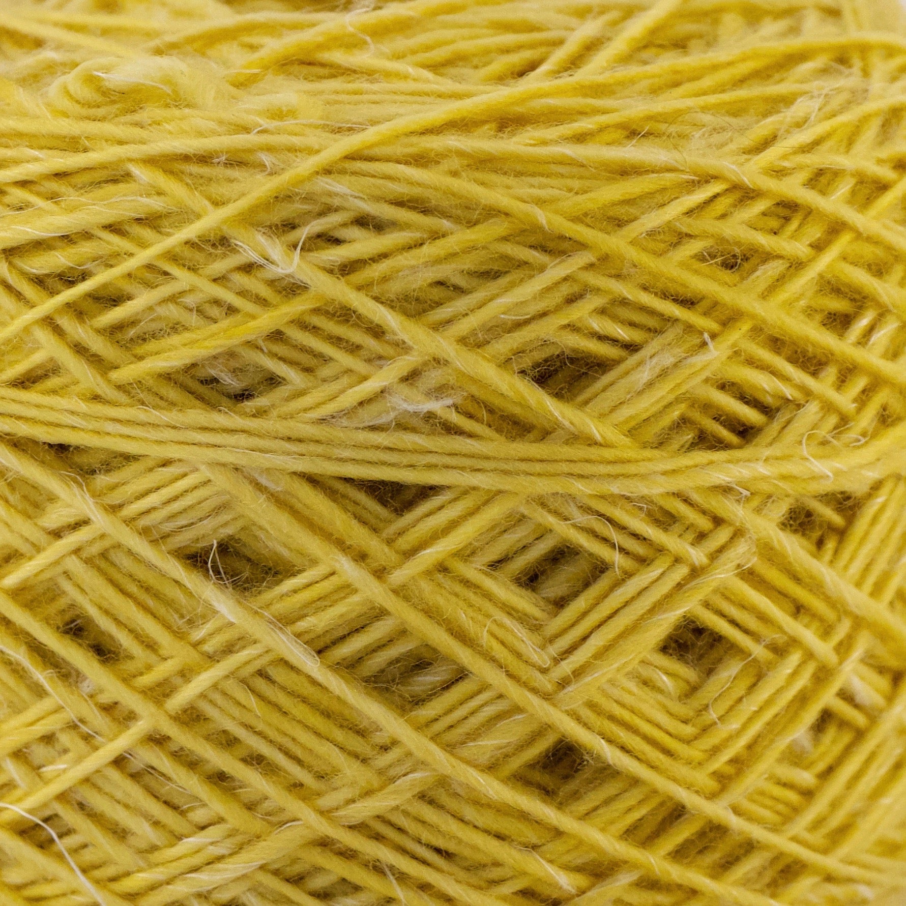 MilkyMoon - Flowering Acacia