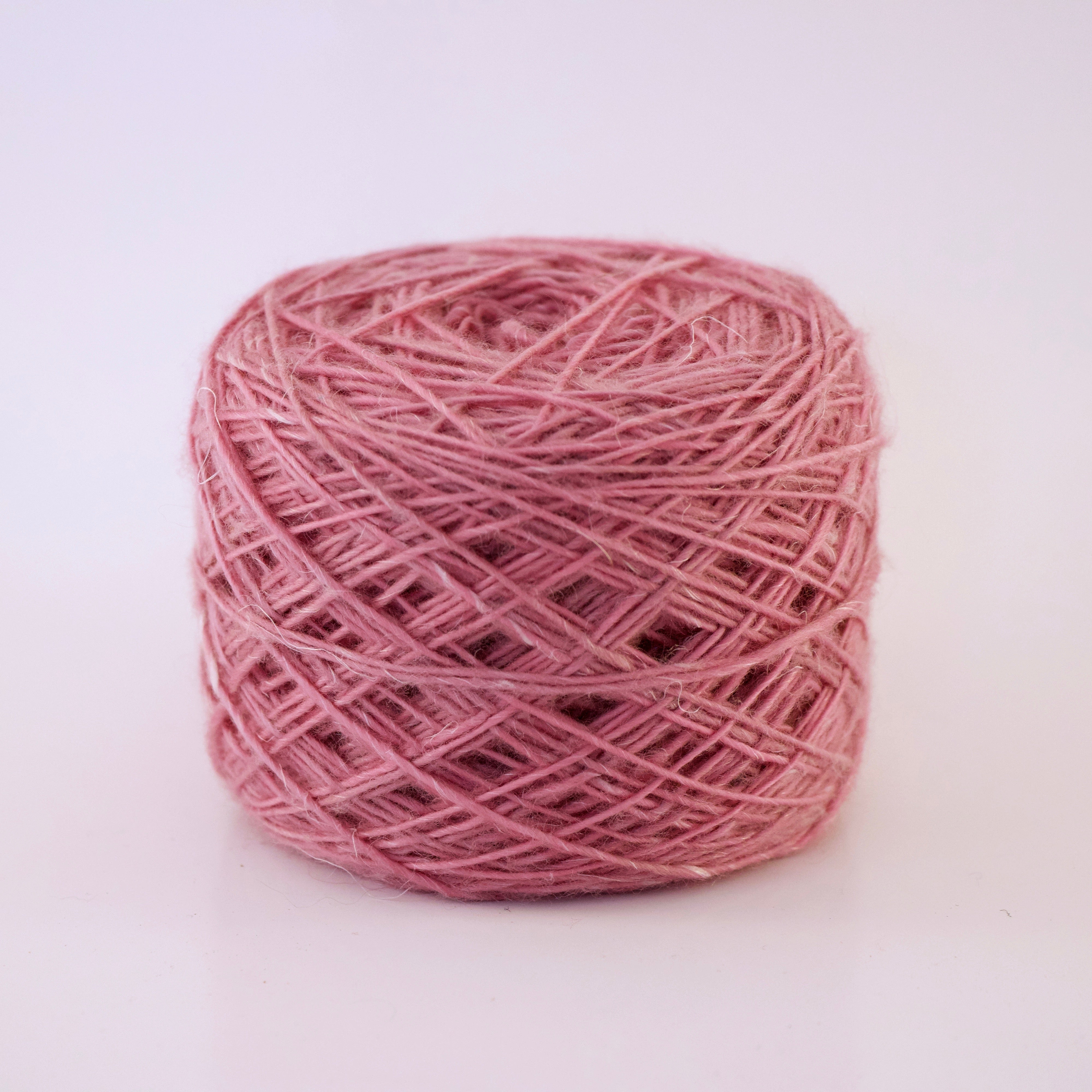 MilkyMoon - March Lily