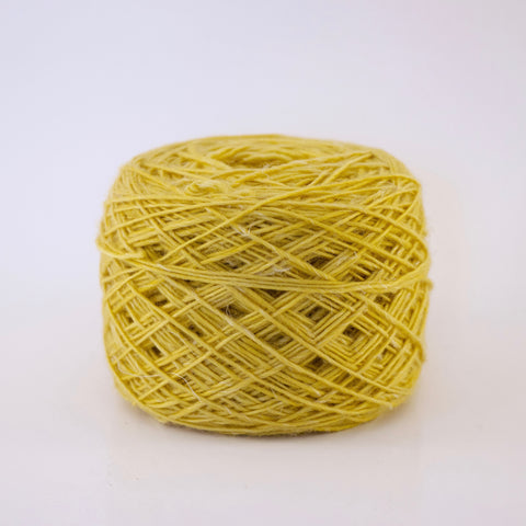 MilkyMoon - Flowering Acacia